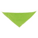 Dreieckige Fahne / XL Wimpel (hellgrün)