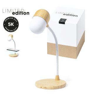 Multifunktion Lampe Lars